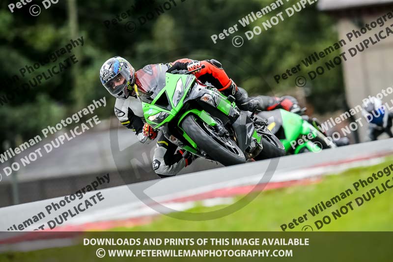 PJ Motorsport 2019;anglesey;brands hatch;cadwell park;croft;donington park;enduro digital images;event digital images;eventdigitalimages;mallory;no limits;oulton park;peter wileman photography;racing digital images;silverstone;snetterton;trackday digital images;trackday photos;vmcc banbury run;welsh 2 day enduro